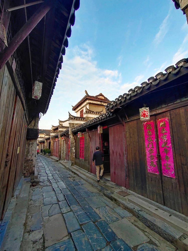 拯救精灵的土地5
